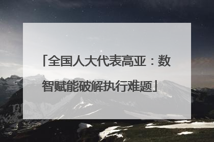 全国人大代表高亚：数智赋能破解执行难题