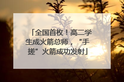 全国首枚！高二学生成火箭总师，“手搓”火箭成功发射