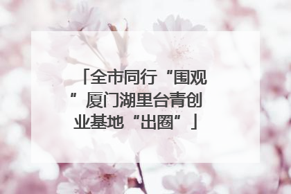 全市同行“围观”厦门湖里台青创业基地“出圈”