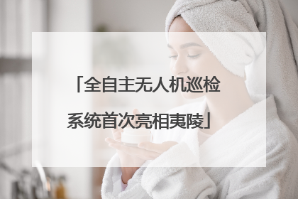 全自主无人机巡检系统首次亮相夷陵