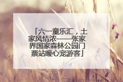 六一童乐汇，土家风情浓——张家界国家森林公园门票站暖心宠游客