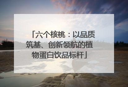 六个核桃：以品质筑基、创新领航的植物蛋白饮品标杆