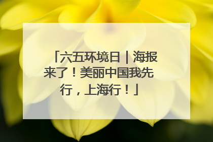 六五环境日｜海报来了！美丽中国我先行，上海行！