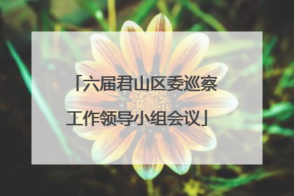六届君山区委巡察工作领导小组会议