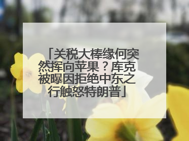 关税大棒缘何突然挥向苹果？库克被曝因拒绝中东之行触怒特朗普