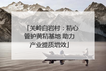 关岭白岩村：精心管护黄精基地 助力产业提质增效