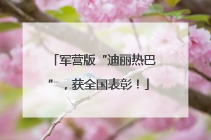 军营版“迪丽热巴”，获全国表彰！