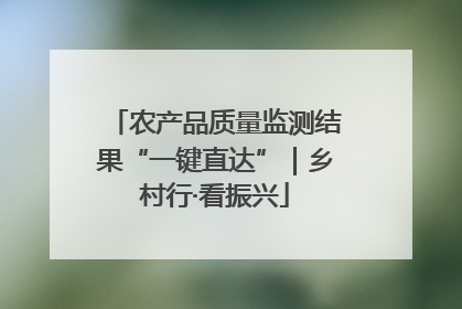 农产品质量监测结果“一键直达”｜乡村行·看振兴