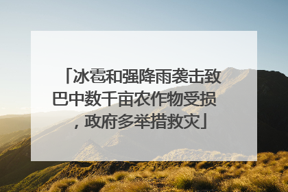 冰雹和强降雨袭击致巴中数千亩农作物受损，政府多举措救灾
