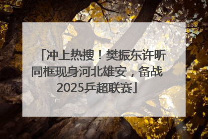 冲上热搜！樊振东许昕同框现身河北雄安，备战2025乒超联赛