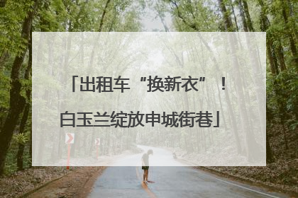 出租车“换新衣”！白玉兰绽放申城街巷