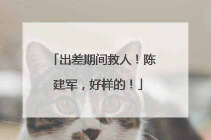 出差期间救人！陈建军，好样的！