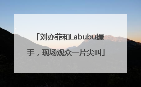 刘亦菲和Labubu握手，现场观众一片尖叫
