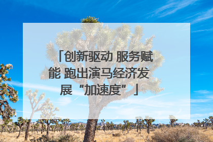 创新驱动 服务赋能 跑出演马经济发展“加速度”