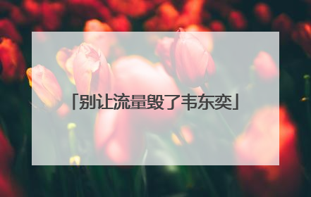 别让流量毁了韦东奕