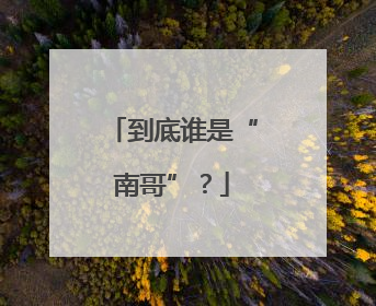 到底谁是“南哥”？