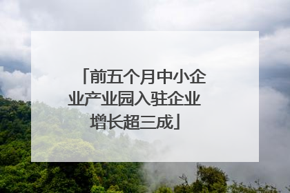 前五个月中小企业产业园入驻企业增长超三成