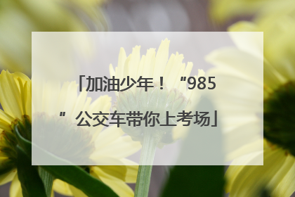 加油少年！“985”公交车带你上考场