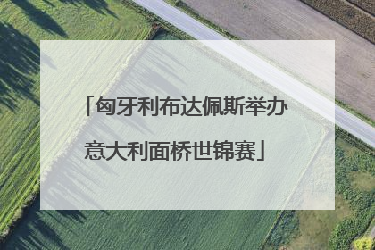 匈牙利布达佩斯举办意大利面桥世锦赛