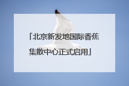 北京新发地国际香蕉集散中心正式启用
