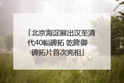 北京海淀展出汉至清代40幅碑拓 乾隆御碑拓片首次亮相