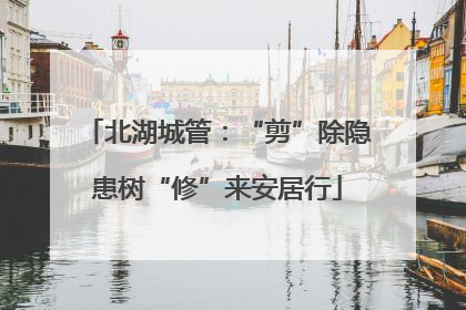 北湖城管：“剪”除隐患树“修”来安居行