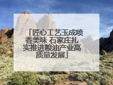匠心工艺玉成喷香美味 石家庄扎实推进粮油产业高质量发展