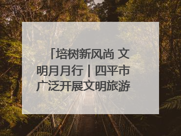 培树新风尚 文明月月行｜四平市广泛开展文明旅游主题实践活动