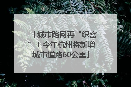 城市路网再“织密”！今年杭州将新增城市道路60公里