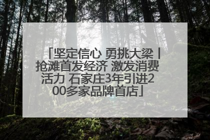 坚定信心 勇挑大梁丨抢滩首发经济 激发消费活力 石家庄3年引进200多家品牌首店