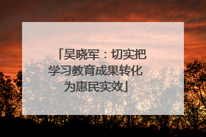 吴晓军：切实把学习教育成果转化为惠民实效