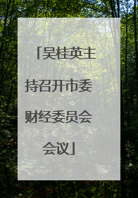 吴桂英主持召开市委财经委员会会议