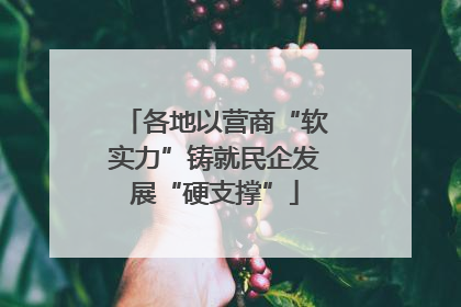 各地以营商“软实力”铸就民企发展“硬支撑”