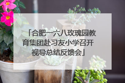 合肥一六八玫瑰园教育集团赴习友小学召开视导总结反馈会