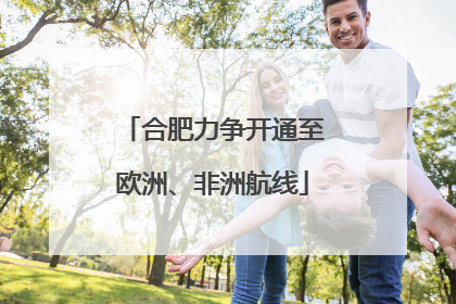 合肥力争开通至欧洲、非洲航线