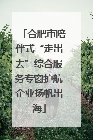 合肥市陪伴式“走出去”综合服务专窗护航企业扬帆出海