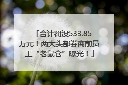 合计罚没533.85万元！两大头部券商前员工“老鼠仓”曝光！
