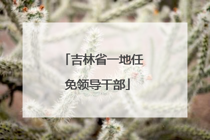 吉林省一地任免领导干部