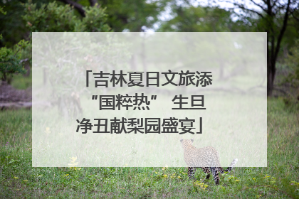 吉林夏日文旅添“国粹热” 生旦净丑献梨园盛宴