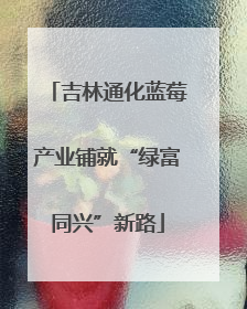 吉林通化蓝莓产业铺就“绿富同兴”新路