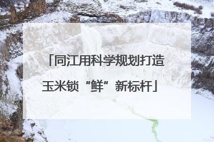 同江用科学规划打造玉米锁“鲜”新标杆