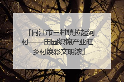 同江市三村镇拉起河村——田园织锦产业旺 乡村焕彩文明浓