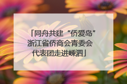 同舟共建“侨爱岛” 浙江省侨商会青委会代表团走进嵊泗