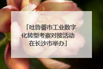 吐鲁番市工业数字化转型考察对接活动在长沙市举办