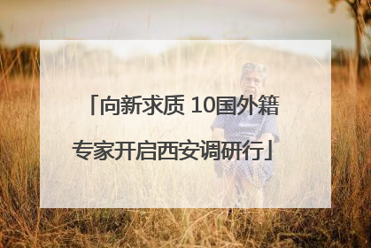 向新求质 10国外籍专家开启西安调研行