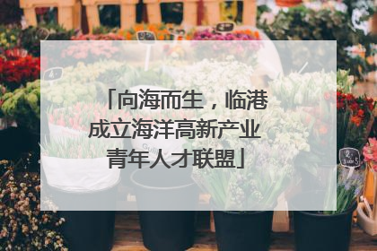 向海而生，临港成立海洋高新产业青年人才联盟