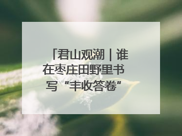 君山观潮｜谁在枣庄田野里书写“丰收答卷”？夏收交响与特色产业，共绘乡村振兴新图景