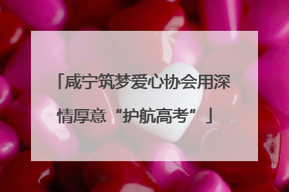 咸宁筑梦爱心协会用深情厚意“护航高考”