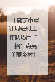 咸宁市审计局驻村工作队巧用“三招”点亮美丽乡村