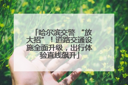 哈尔滨交警 “放大招”！道路交通设施全面升级，出行体验直线飙升